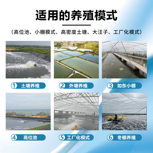 Guangdong Jinran Compound Fertilizer Water Peptide Full-price Fertilizer Brown Sugar Carbon Source Aquaculture Special Fish, Shrimp, Crab Pond Fertilizer Hydroponic Algae. Take 1 box (a box of 20L contains 4 bottles). Use it with our diatom species fertilizer hydroponic algae for better results.