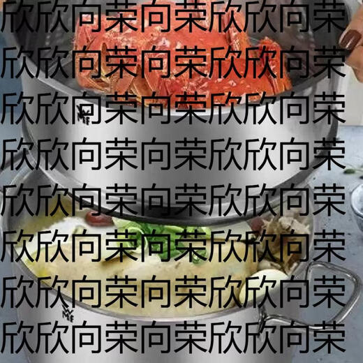 Yusenyi cage drawer wmfwmf304 stainless steel household grid steaming food grade steaming 1810 thickened rack universal type 24CM binaural style 24cm