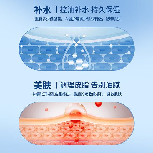 Avode facial steamer, hot and cold dual-spray facial household moisturizing nano-spray hydration device, fully upgraded hot and cold facial steamer, hot and cold dual-spray pure white Z16