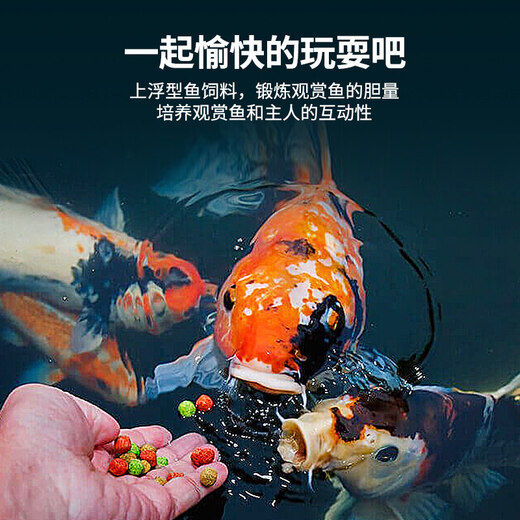 Koi fish food, goldfish feed, special non-turbid water ornamental fish food for color enhancement and body shaping, small particles for household breeding, general three-effect full-price fish food 3.0mm10Jin Jin equal to 0.5kg, suitable for fish