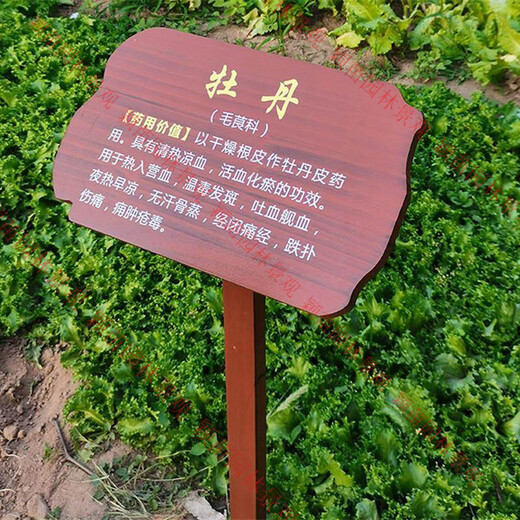 Customized solid wood Chinese herbal medicine brand introduction card, plant introduction card, ground brand, flower variety brand, tree science brand, style-14 (customizable content) 20.00x30.00cm