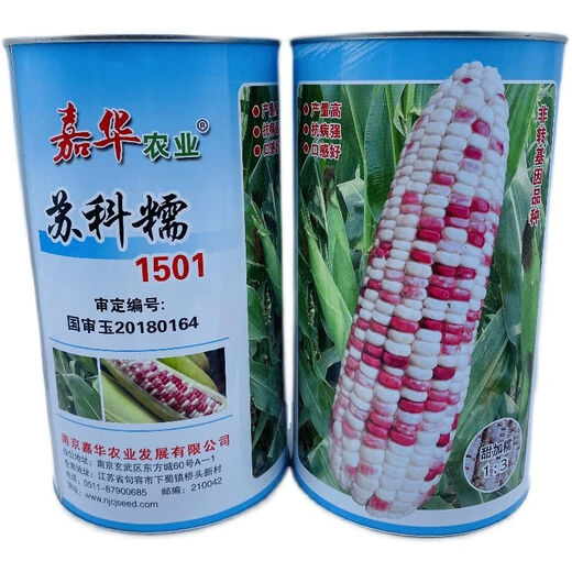 Sukenuo № 1501 цветок семена сладкой кукурузы сладкие восковые семена фруктов четыре сезона супер сладкая липкая кукуруза весна и лето посадка оригинальная заводская упаковка 500 г 1 коробка