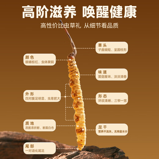 渭水鸿冬虫夏草礼盒20根/5克送父母长辈领导见家长送礼高档滋补礼品