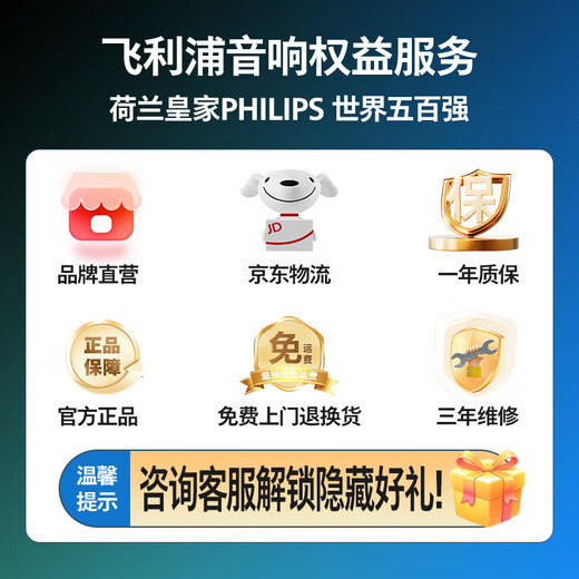 Philips (PHILIPS) SD617T 10-inch square dance audio outdoor stage high-power mobile portable trolley speaker wireless Bluetooth high-volume karaoke amplification with dual microphones