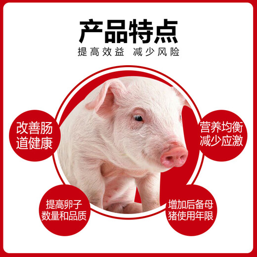 Zhengda Wuxi Zhengda factory direct sales 10% lactating sow premix special feed for good milk and major weaning