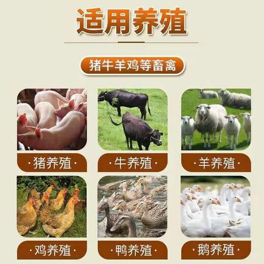 Banqing Granular Veterinary Honeysuckle Crude Extract Poultry and Chicken Feed Additive for Pigs, Cattle, and Sheep Pregnant Livestock 1000g/bag Banqing Granule 4 bags