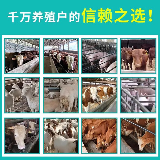 Banqing Granular Veterinary Honeysuckle Crude Extract Poultry and Chicken Feed Additive for Pigs, Cattle, and Sheep Pregnant Livestock 1000g/bag Banqing Granule 4 bags