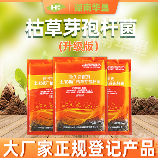 Tubo Boss Bacillus subtilis landwirtschaftlicher Mikroorganismusdünger Düngerprävention Spezial 1000g Tubo Boss Bacillus subtilis * 1 Packung