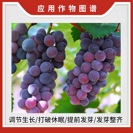 Rongya 50% cyanamide grape nectarine and kiwi fruit germination accelerator sleep-promoting bud growth regulator cyanamide 250ml (full box of 40 bottles)