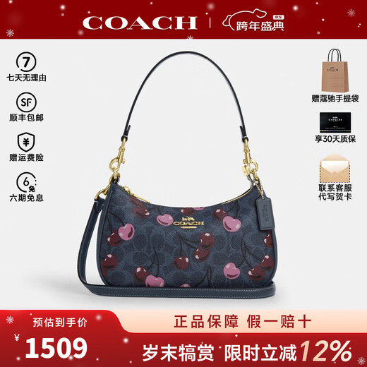 蔻驰（COACH）女包TERI腋下包休闲便携轻奢大牌包新款精品礼物女 CY694 IMDEI