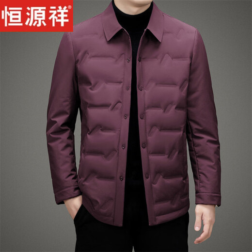 恒源祥轻奢羽绒服男短款秋冬新款商务休闲中年男士轻薄翻领白鸭绒外套 DY8013 黑色 L 175