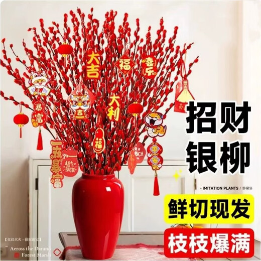 Xingxiang silver willow fresh branches New Year's Eve flowers red silver willow 60cm high 30 pieces + random cards not including pots straight from the source