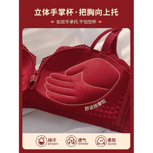 Triumph Red Underwear Set 2024 Year of the Dragon Women's Sexy Lace Bra Women's Push Up Small Breasts Autumn and Winter Red Single Piece M 36/80AB