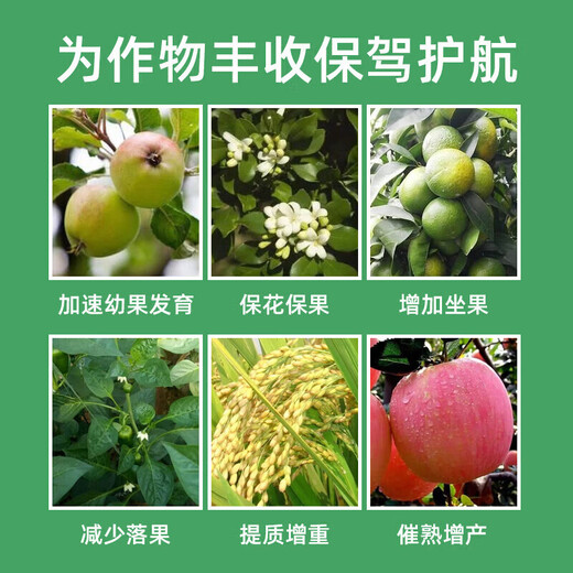 Guoguang Pesticide, Naphthalene Acetate, Plant Growth Regulator, Flower and Fruit Preserving Medicine, Prevent Fruit Drop and Sitting, Apple Tree Hua Guo Bao 1000ml (12 bottles in the box)