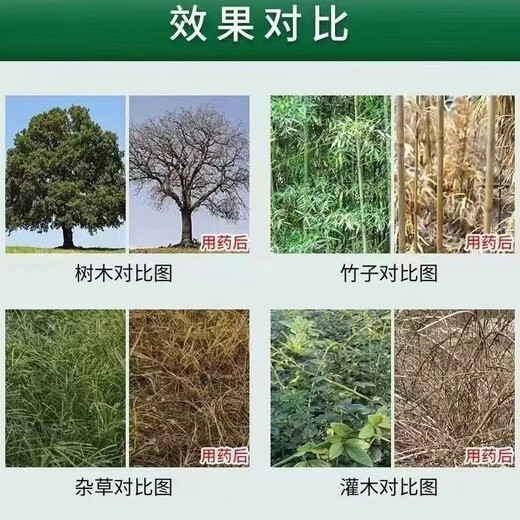 Stubborn Bamboo Nemesis Special agent for killing bamboo. Bamboo will be rotten by the roots. Quickly dry out the rotten roots. Buy 2 get 1 free. Kill the roots and never become green again. 1500g.