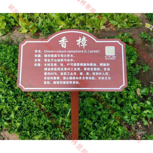 Customized solid wood Chinese herbal medicine brand introduction card, plant introduction card, ground brand, flower variety brand, tree science brand, style-14 (customizable content) 20.00x30.00cm