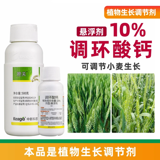 10% prohexadione calcium growth regulator inhibits gibberellic acid synthesis and regulates growth of lodging-resistant dwarf wheat 100g*1 bottle
