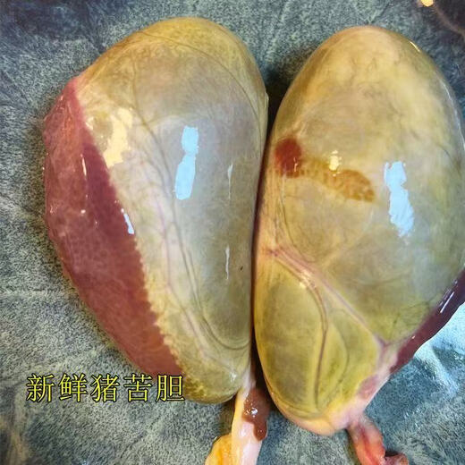 Pig gall is killed and found, fresh pig bile, gallbladder, dried pig gall, frozen pig gall, old recipe, 2 pieces of gall