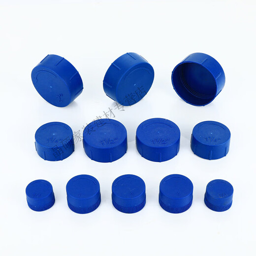 Zhuo Shikun external thread protective sleeve blue plastic NPT thread protection special welded pipe fitting valve flange mouth cap blue LH-1/2 (10 pieces)