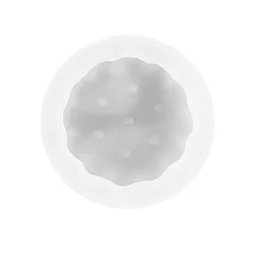 Huili's emoji mold 6-inch 4-inch sandwich round biscuit mousse silicone abrasive chocolate baking tool picture 4-inch biscuit sandwich