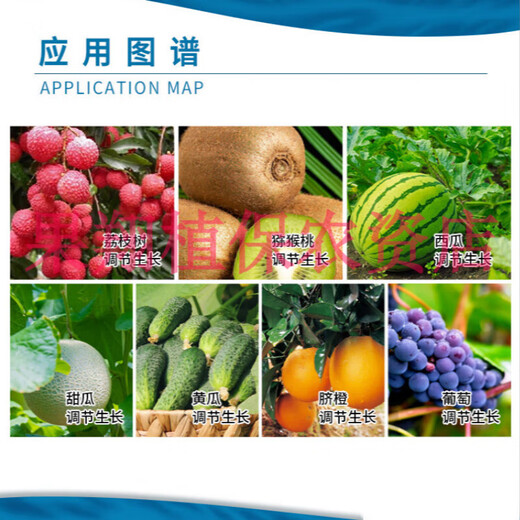 Guoguang Guopanshiteyou clofendiuron grape watermelon lychee fruit-setting expansion agent fruit-preserving and flower-preserving plant growth regulator 200ml