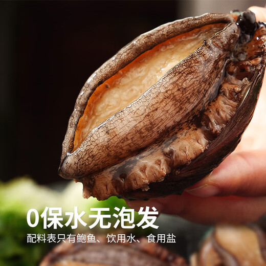 Seafood Family's extra-large belly abalone 12 pieces 360g boxed processing-free hot pot barbecue ingredients seafood gift box New Year's gift