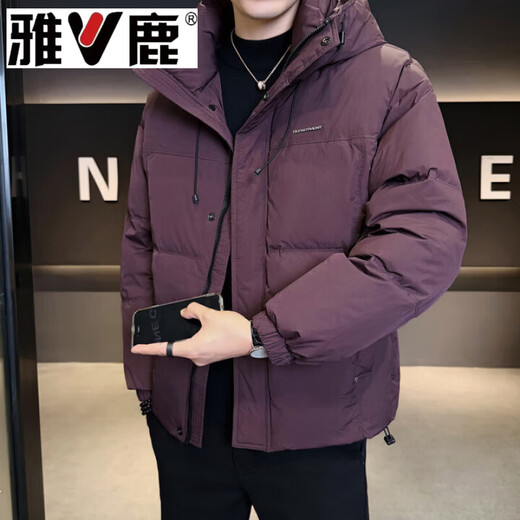 雅鹿2026冬季新款男士微胖宽松连帽新国标防风御寒90白鸭绒服保暖潮流 米灰色 L