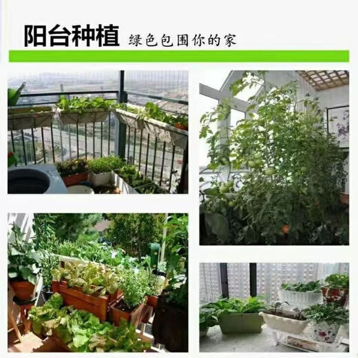 Chemical Fertilizer Stanley Compound Fertilizer Vegetables Nitrogen, Phosphorus and Potassium Universal Fertilizer for Gardening Vegetables Household Potted Fruit Trees Organic Compound Fertilizer Ziplock Bag Special Fertilizer for Fruits, Vegetables and Flowers <1Jin Jin is equal to 0.5kg>