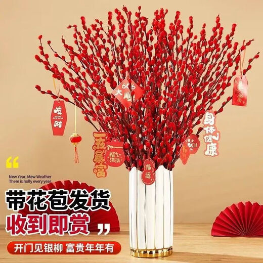 Xingxiang silver willow fresh branches New Year's Eve flowers red silver willow 60cm high 30 pieces + random cards not including pots straight from the source