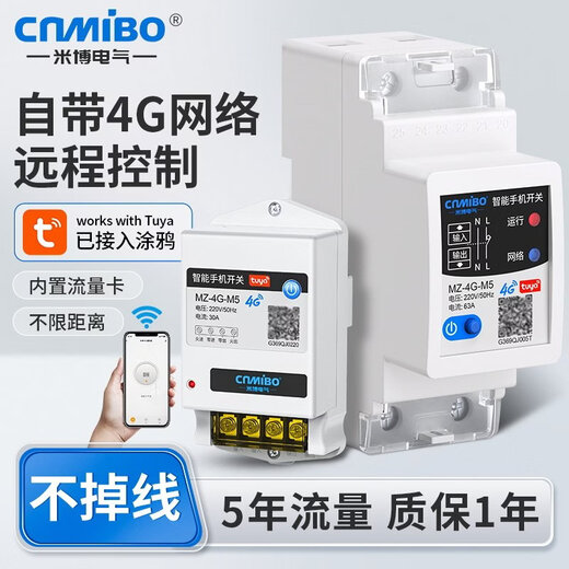 4G mobile phone remote control switch Tuya smart WiFi timing wireless remote control water pump advertising light power supply 4G model Tuya 10A socket (with metering_non-stop reporting)