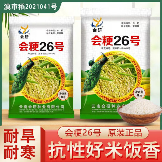Original alpine rice seeds Huijing No. 26 high-altitude rice seeds conventional rice can be reserved for sowing rice Huijing No. 26 conventional rice seeds 2Jin Jin equal to 0.5 kg/1 bag