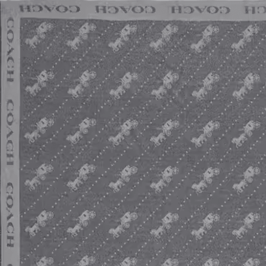 COACH Carriage Pattern Print Wool Scarf Women's Gray Default F