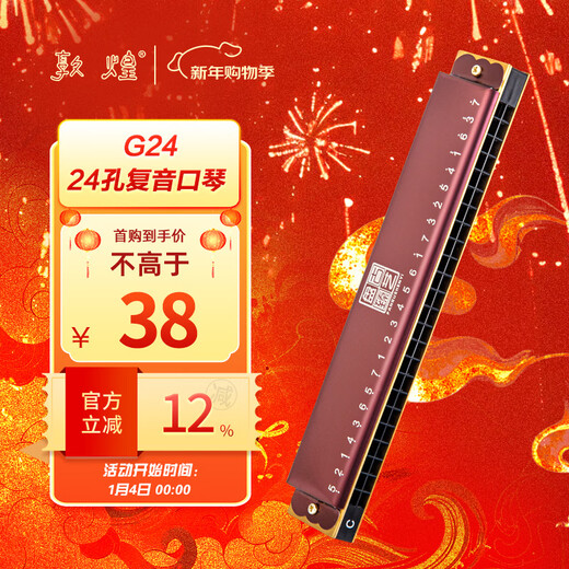 Dunhuang Pangu Zhenyi 24-hole polyphonic harmonica, bean color G24 C key, recommended for beginners