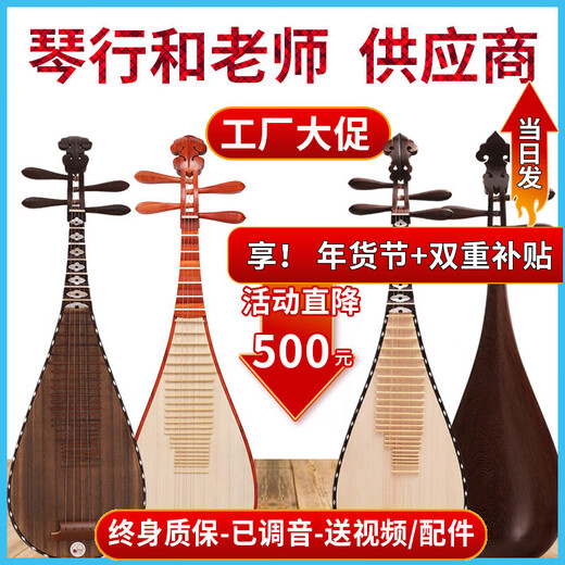 Folk music professional pipa mahogany chicken wing wood rosewood pipa instrument beginner introductory teaching adult pipa instrument children hardwood beginner level