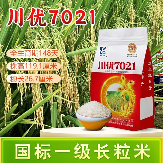 Long-grain fragrant rice Chuanyou 7021 rice seed national standard first-grade fragrant rice has a soft taste but not glutinous and chewy Chuanyou 7021 500g/bag 3 bags