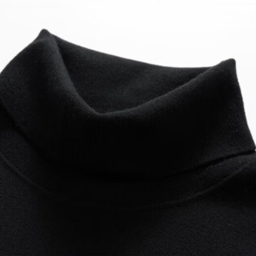 Wirpta Lamborghini joint turtleneck sweater for men spring new solid color thickened warm long-sleeved T-shirt bottoming shirt black (spot) M