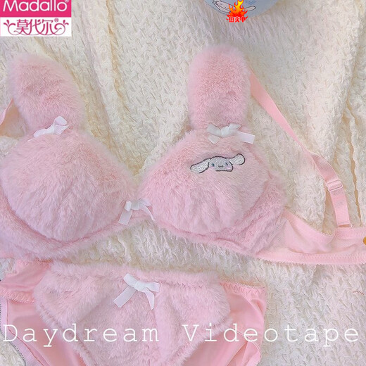Modal Winter Plush Sweetheart Cinnamon Dog Pure Desire Underwear Japanese Cartoon Wireless Small Breast Push Up Bra Set White Set M