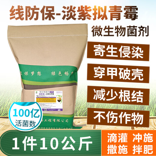 Kubo Nong 200g/package line protection Paecilomyces lilacinus microbial agent reduces root knot damage and promotes root growth 200g