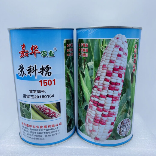 Sukenuo № 1501 цветок семена сладкой кукурузы сладкие восковые семена фруктов четыре сезона супер сладкая липкая кукуруза весна и лето посадка оригинальная заводская упаковка 500 г 1 коробка