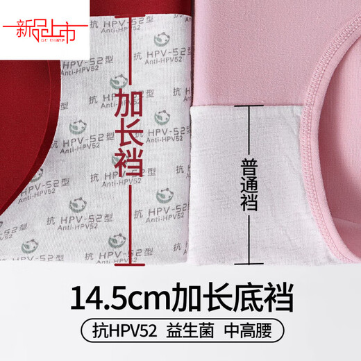 Yalu zodiac year red underwear set for women with small breasts pushed up, special bra gift box for brides to wear, seamless set, good luck coming from the horse - regular bra set/set + socks + gift box XL 120-135Jin Jin is equal to 0.5 kg