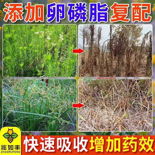 Zhaorufeng extended penetration agent containing lecithin auxiliary plant extract to improve the efficacy of pharmaceutical spray auxiliary soft phospholipid auxiliary 500g * 1 bottle, large quantity, please contact customer service