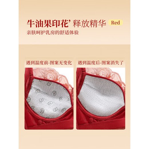 Triumph Angora Red Underwear Women's Small Breast Push Up Thick Embroidered Bra New Year Wedding Bridal Bra Set Good Things Come Again - Set Angora Red M 36/80A Top Thin Thick Bottom 2.5c
