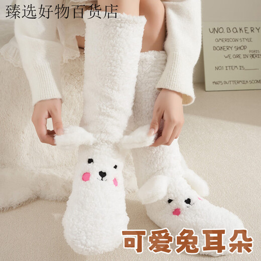 Puppy plush socks for women in autumn and winter, thickened lamb velvet floor socks, warm and velvet home sleeping socks, foot warmer artifact, puppy outfit, cute and fun, velvet and thickened 1 pair
