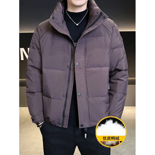 KBXNG劲霸冬季新款男士立领羽绒服短款潮流帅气上衣服加厚保暖防寒外套 紫色 M