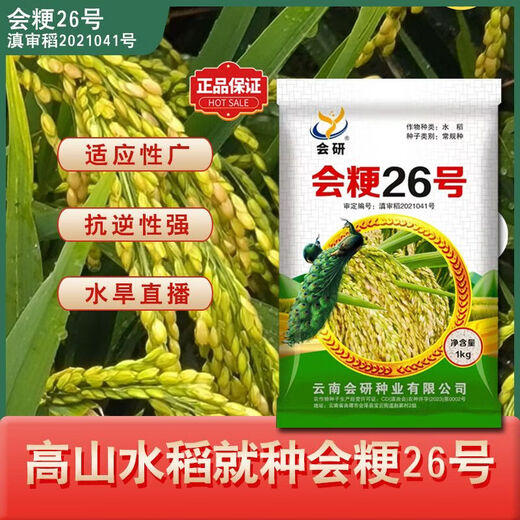Original alpine rice seeds Huijing No. 26 high-altitude rice seeds conventional rice can be reserved for sowing rice Huijing No. 26 conventional rice seeds 2Jin Jin equal to 0.5 kg/1 bag