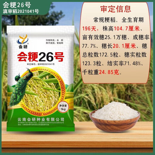 Original alpine rice seeds Huijing No. 26 high-altitude rice seeds conventional rice can be reserved for sowing rice Huijing No. 26 conventional rice seeds 2Jin Jin equal to 0.5 kg/1 bag
