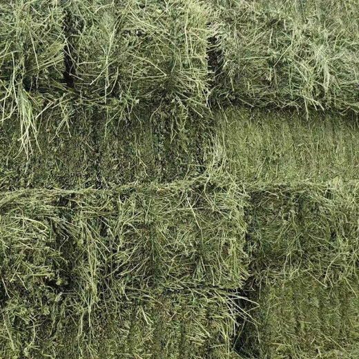 Alfalfa hay for cattle, sheep and horses, sheep grass, alpaca large zoo feed, alfalfa 5kg
