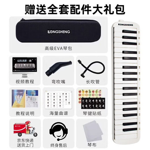 Kongsheng (KONGSHENG) 37-key mouth organ student classroom teaching junior high school students special adult performance wind instrument F-37W white