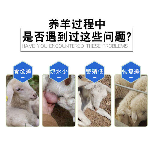 Sino-US Puke 4 Pregnant Ewe Special Premix Sheep Basic Pregnant Breeding Ewe Overlay Premix Sheep Feed Veterinary 4 Basic Pregnant Ewe Premix 40 Jin Jin is equal to 0.5 kg