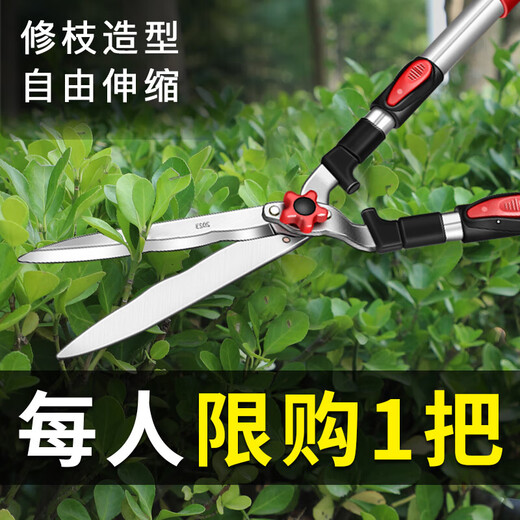 Gardening scissors, household lawn pruning, flower pruning scissors, branch pruning, hedge pruning, thick branches, garden fence scissors, large scissors, standard large blade straight blade model with free gloves